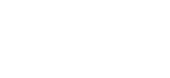 Dom Santo
