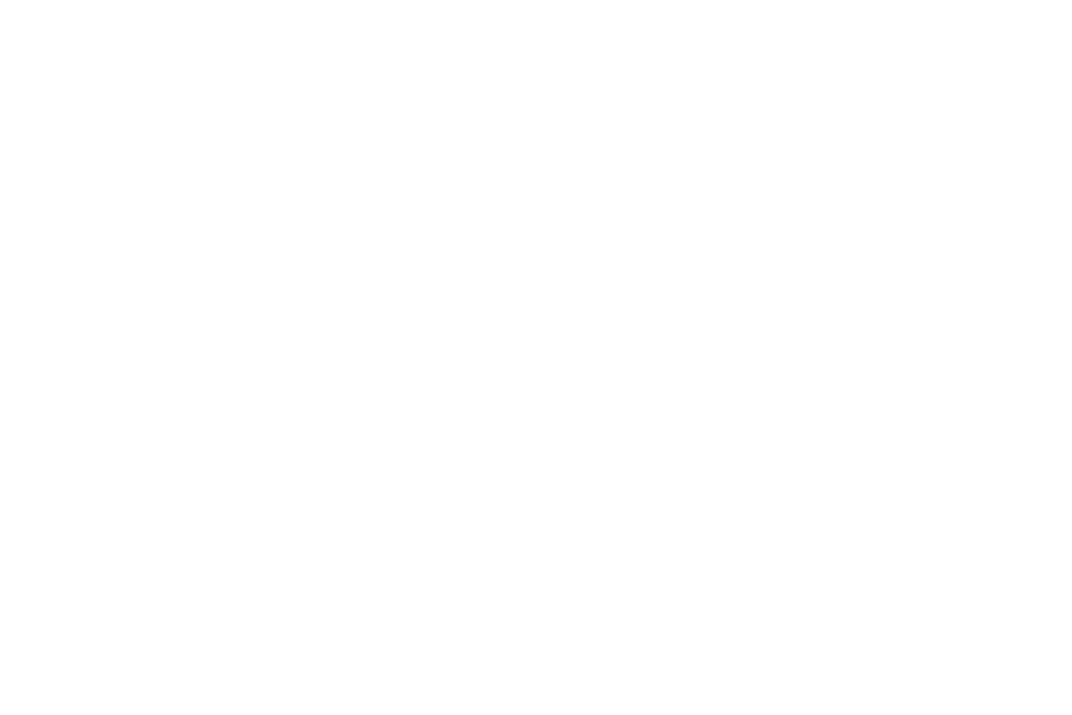 Planik